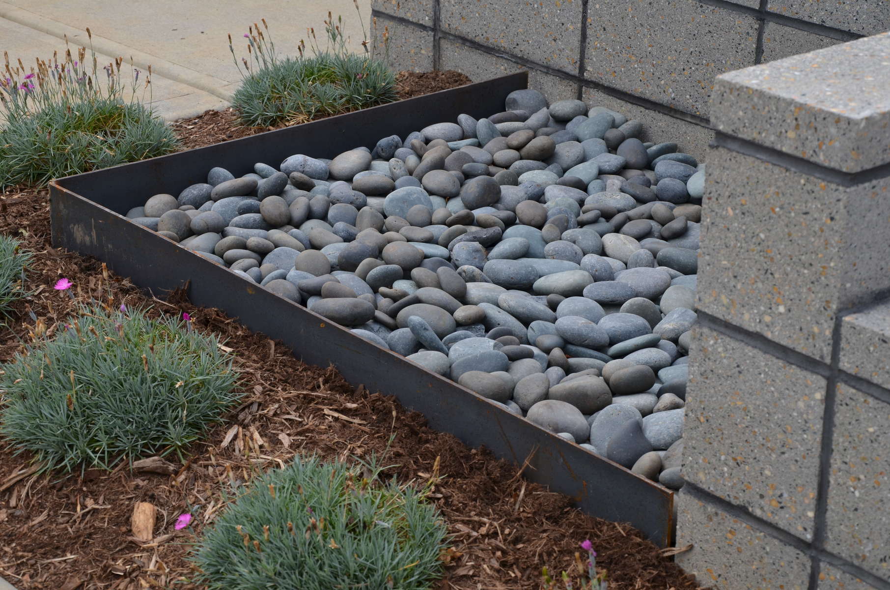 This area becomes a place to position an ornamental pot atop the beach pebbles.The edging surround features Cor-ten steel which will age to a sepia patina over time. 