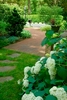 Annabelle hydrangeas line the irregular flagstone entrance patio used to gain entry into this extraordinary home.