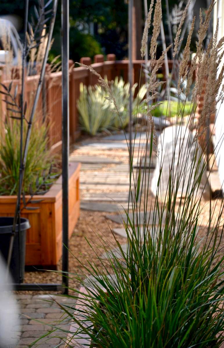 A trio of cut iron bamboo screens , teamed with three raised cedar planters, create a rhythm of surprise and interest along the narrow side garden path. These features provide a modest sense of privacy, elevating plants to provide a living screen.