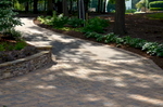 To tackle the management of the storm water, we manipulated the driveway’s grade near the house and garage so that storm water is funneled funnels storm water into a drain near the front of the house. Boulders and a stone surround artfully mask the drain creating a natural looking landscape focal point.A handsome stone wallstone flanks the driveway’s edge where it curves to meet the garage aiding in drainage. front of the house. Boulders and a stone surround artfully mask the drain creating a natural looking landscape focal point.A handsome stone wallstone flanks the driveway’s edge where it curves to meet the garage aiding in drainage. 