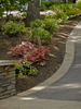 Landscape materials meld with the woodsy setting and complimnt the house. The asphalt driveway blends with the neutral colors of the woodlands while wide cobble bands and edge harmonize with the house stone and style.