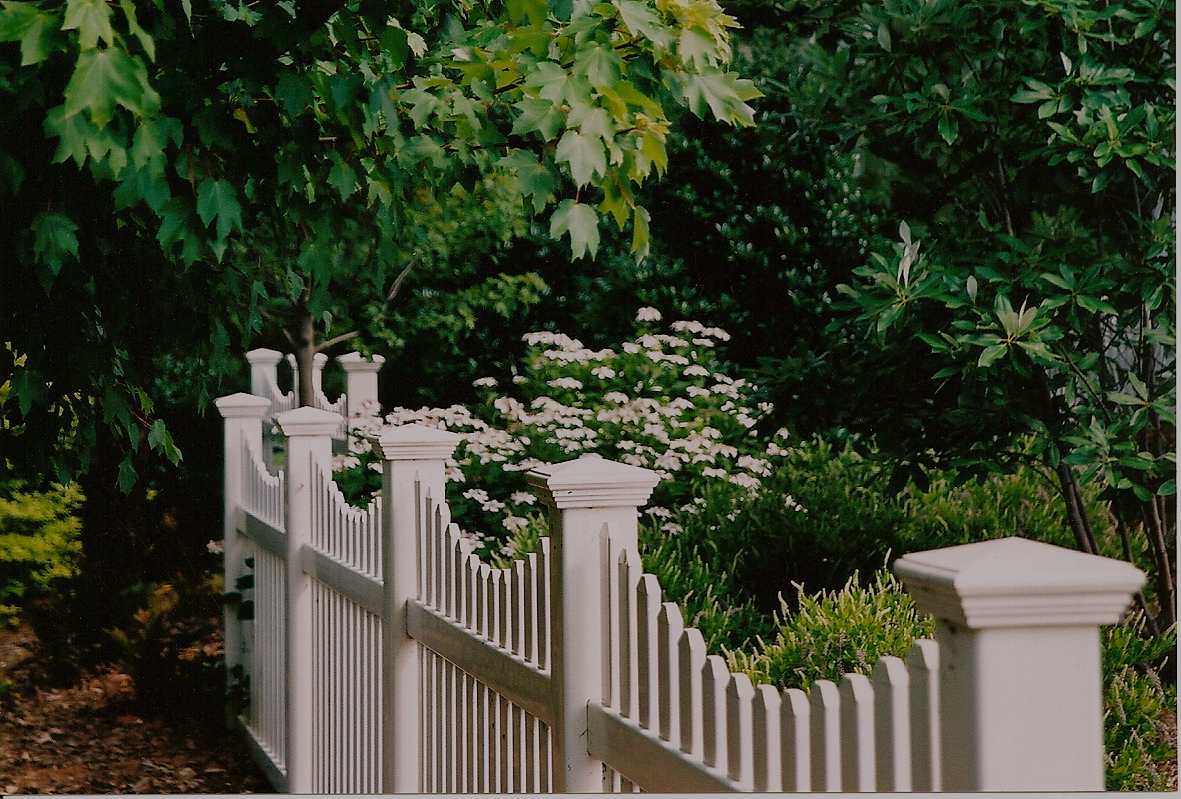 A modern interpretation of the traditional picket fence reflects the style of the home while spearating the front yard gardens from the street.