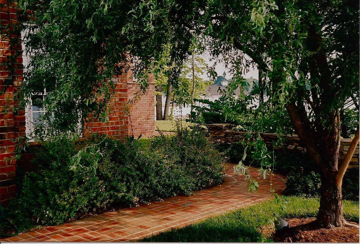This quaint meandering path provides ground level travel around the home and is flanked by a unique corkscrew willow tree.