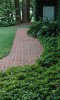 At the back of the house sits a brick walkway adorned with a Holly fern and Pachysandra surround.