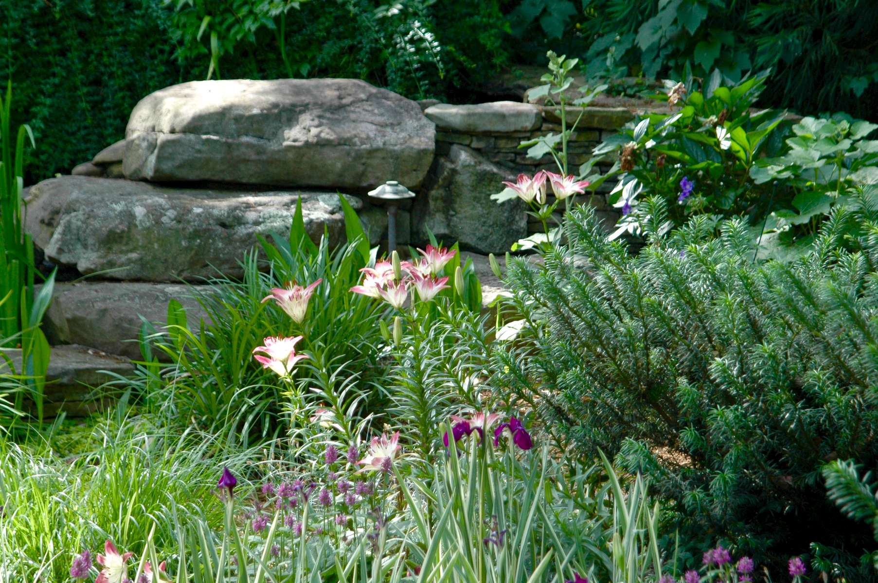 Lollipop Asiatic lilies and Siberian Iris are among the hopefuls stealing the starring role of this layered cottage garden surrounded by heavy river rocks as the backdrop.