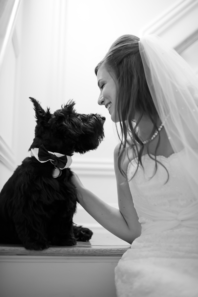Bride witting with dog on stairs before wedding. NJ wedding photographers. Hoboken wedding photographers