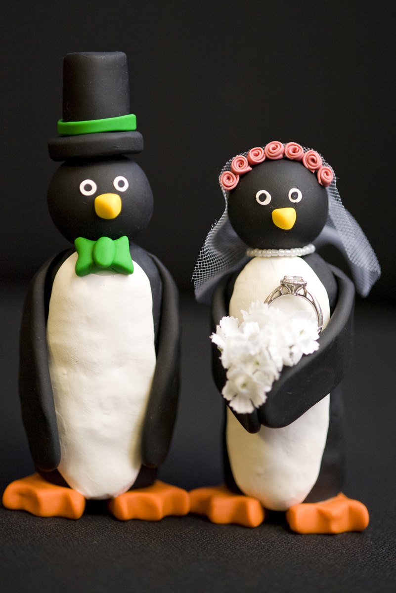 Creative ring shot of penguin cake toppers with wedding rings at Mystic Aquarium