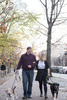 couple and their dogs in Brooklyn during their engagement session. Brooklyn wedding photographers