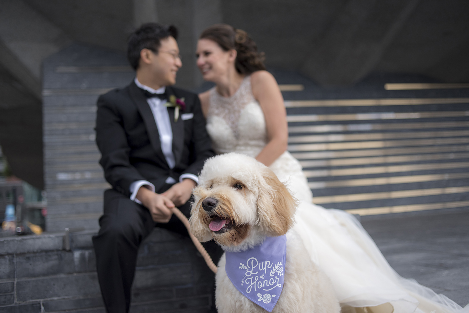 Portrait of bride and groom and their dog on wedding day in NYC