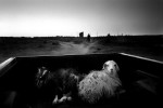 dusk, Jeddito Wash, Navajo Indian reservation