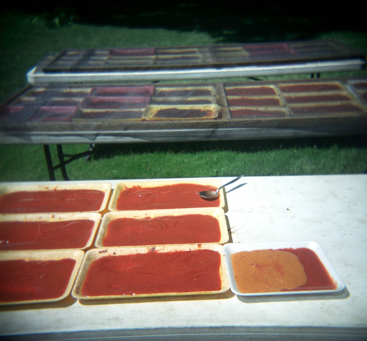 fruit leather, drying in the sun