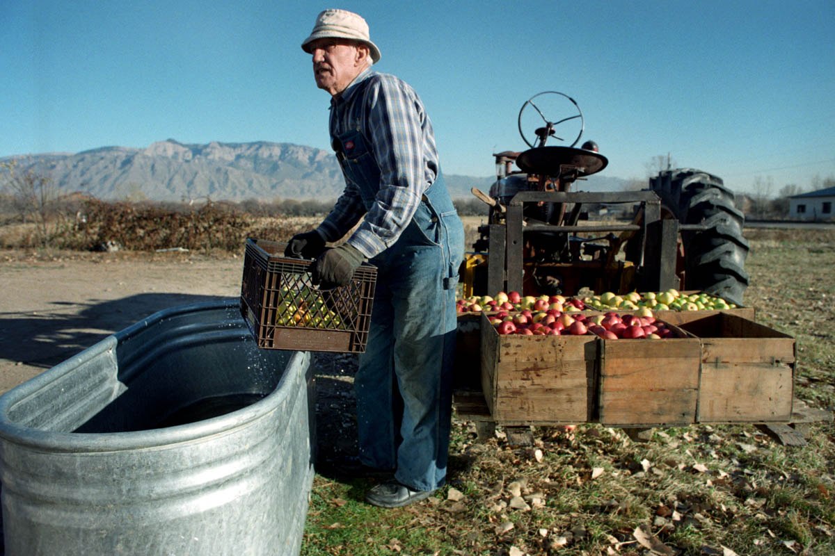 Johnnie, cleaning the apples, 1998