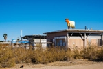 Painted cow sculpture on rooftop of a mobile home in the settlement of Bombay Beach, California located on the shores of the Salton Sea.