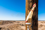 Rubber chicken attached to a telephone pole in the small town of Bombay Beach, California.