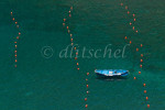 Blue boat in green water of the harbor at Vernazza, Cinque Terre, Italy, with lines of orange buoys on either side.