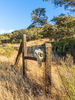 A dried cow\'s skull hangs from a barb wire fence on Santa Cruz Island. Santa Cruz Island is the largest of the eight islands in the Channel Islands of California.