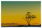 Sunset in Carpinteria, California with silhouetted people at the beach.