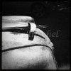 Black and white image of hood ornament of a 1950's era Buick automobile.