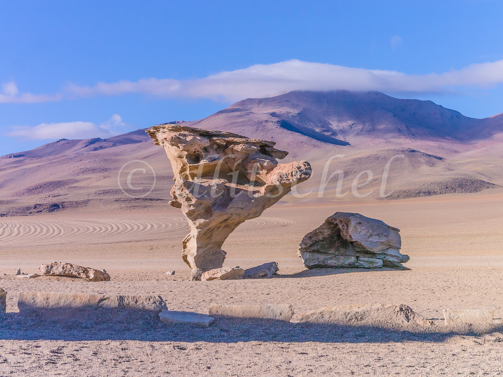 Stone Tree, Bolivian Desert