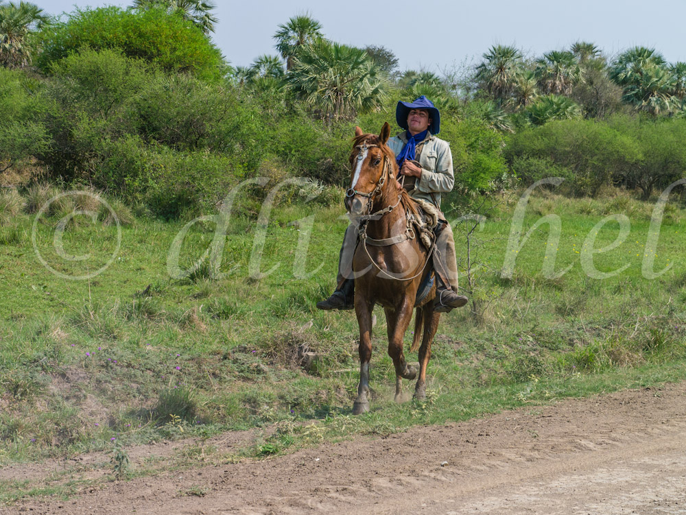 A cowboy rides his horse over the pastures of the Chaco region of northern Paraguay.