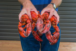 Two hands hold freshly cooked lobsters on Prince Edward Island, Canada.