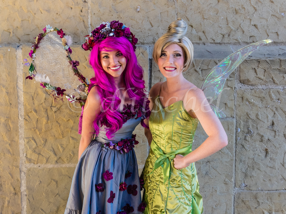 Santa Barbara fairies