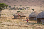 Masai village in the Sinya area of northern Tanzania. Huts are made of cow dung and mud with interwoven branches for internal support. The Masai women are responsible for the construction of the huts. To purchase this image, please go to my stock agency click here.