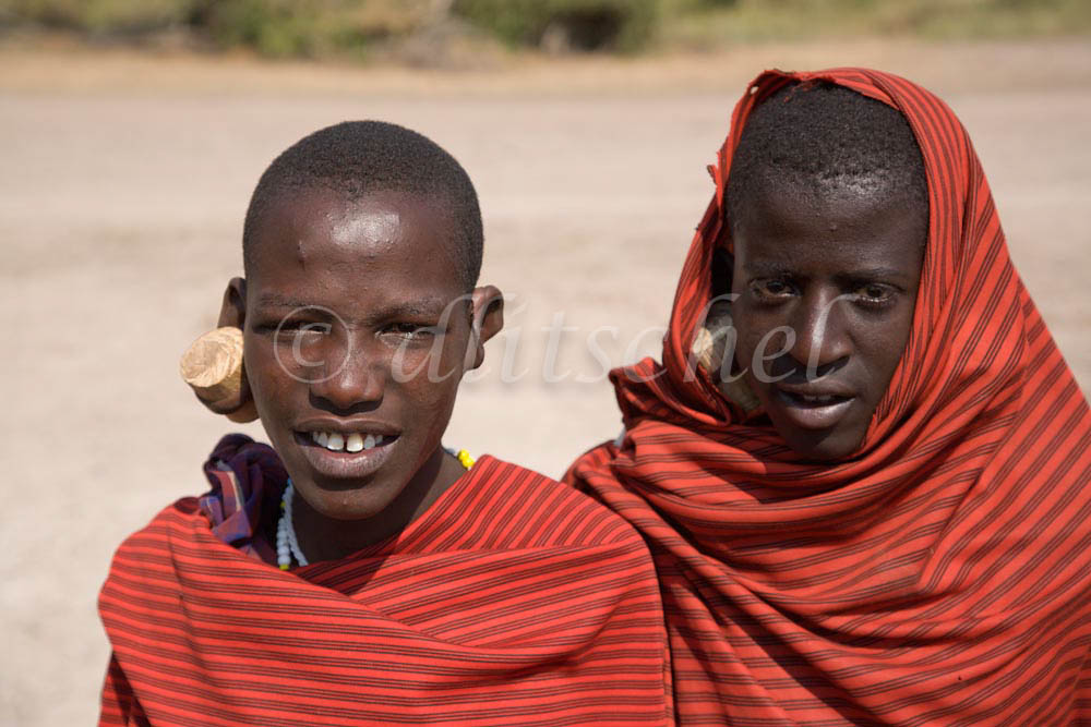 Young Masai warriors herding cattle in the Sinya area of northern Tanzania near the Kenya border. To purchase this image, please go to my stock agency click here.