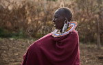 Profile of Masai woman in traditional dress and jewelry in northern Tanzania. To purchase this image, please go to my stock agency.