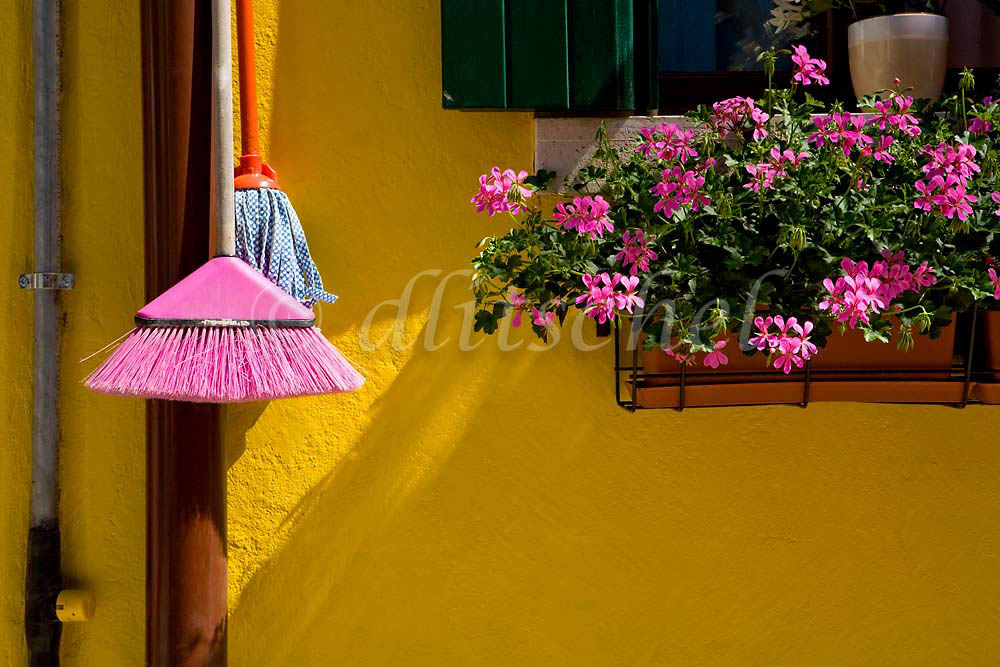 A pink bristled broom compliments the pink geraniums in a flowerbox against a vivid yellow wall in the colorful fishing village of Burano on Burano Island, Italy.To purchase this image, please go to my stock agency click here.