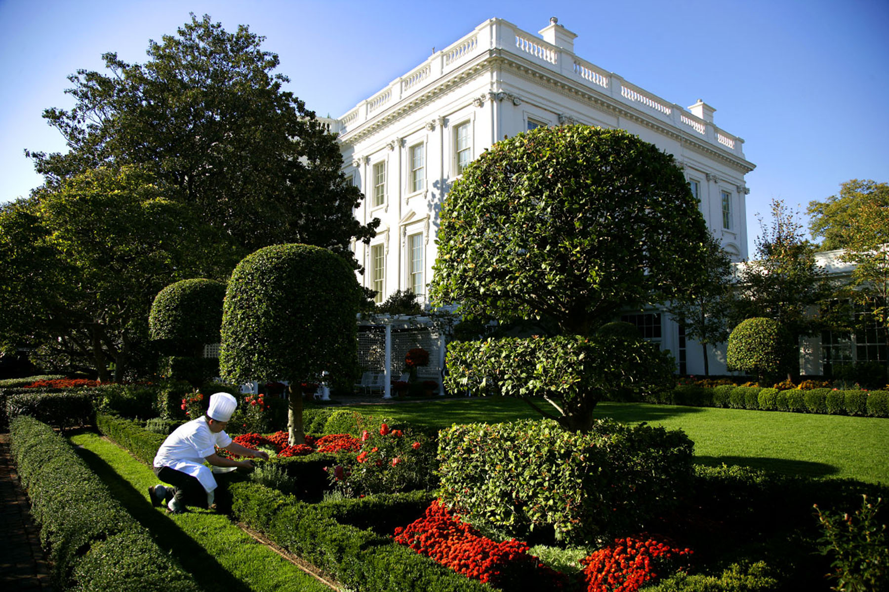 White House Executive Sous Chef Tommy Kurpradit clips fresh rosemary from the East Garden at the White House in preparation for President Bush's social dinner next week with France President Nicolas Sarkozy.    Photo by Brooks Kraft/Corbis