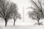 The Washington Monument is seen during an intense winter blizzard hit the nation's capital and much of the Mid Atlantic region, shutting down the Federal government.