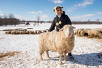 February 3, 2017; SuzAnne Akhavan-Tafti, '91M.A. inspects the sheep on her 360-acre Full Circle Organic Farm in Howell, Michigan. (Photo by Barbara Johnston/University of Notre Dame)