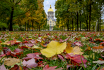 October 28, 2019; Colorful autumn leaves decorate the lawn of the Main Quad with the Golden Dome in the background. (Photo by Barbara Johnston/University of Notre Dame)