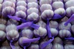 Packaged garlic is a staple among vendors at the Italian Market on Ninth Street.