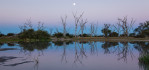 Dusk at a watering hole in the Okavango Delta, Botswana, Africa. The moon is just rising and the air is still. This is a watering hole near Chitabe Lediba Safari Camp - part of Wilderness Safaris. Photo © 2012 Jay Graham, all rights reserved