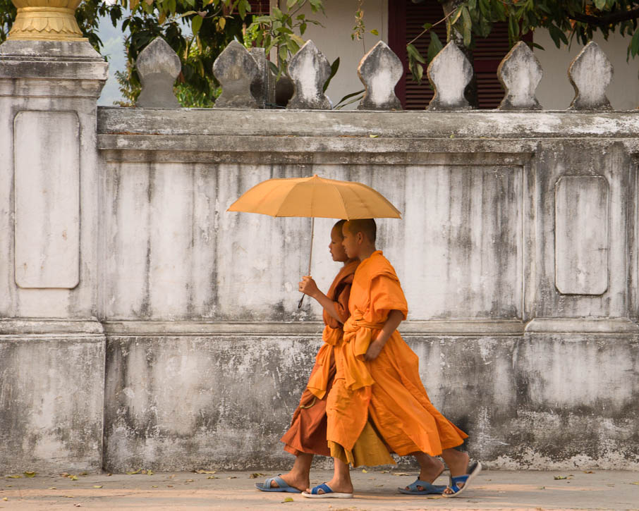 Two young novice monks walking with an umbrella after performing the dailymorning alms collection called Tak Bat. This photo won honorable mention in the International Photography Awards (IPA) 2009. Photo by Jay Graham