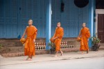Three young novice monks performing Tak Bat (the daily alms collection ritual). Photo by Jay Graham