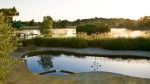 A beautiful back yard pool with stone work overlooking the lagoon at Peacock Gap, San Rafael, CA. Photographed by Jay Graham Photographer for Randy Thueme Design.