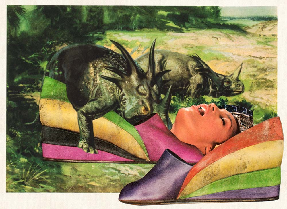 Styracosaurus. Smoking Gun, Birth Control and Satin Shoes. Deep inspection at the border crossing. 