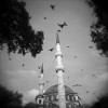 birds, black, mosque, pray, fly, holy, religion, faith, islam, muslim, worship, 