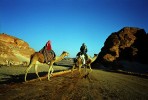 Sinai Desert, Egypt