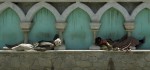 Two Afghan men take a nap at the Hagi Yaqub crossroad in the Shahar-e-naw district of Kabul, Afghanistan. 