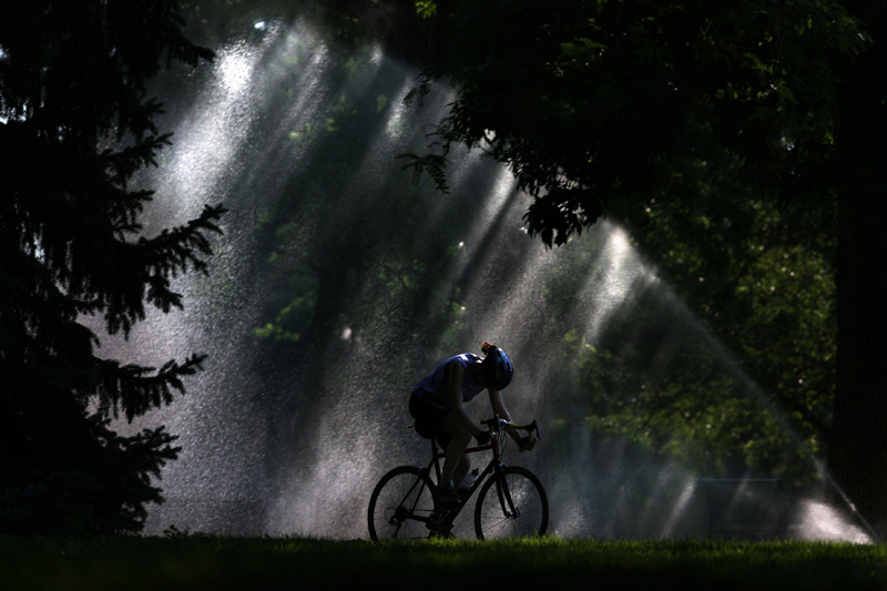 As the rising sun streaks behind a sprinkler, a bicyclist gets in an early morning ride before the heat of another afternoon in the mid-90 degrees sets in at Washington Park in Denver, Colo. Photo by Matt McClain