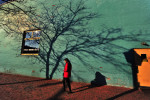 A shadow of a tree with bare branches stretches across a building along N. Columbus St. as Ruhi Mirza of Sterling, VA makes her way on Wednesday December 19, 2012 in Alexandria, VA.  (Photo by Matt McClain for The Washington Post)
