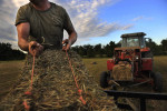 Ben Jennings stacks hay bales at property owned by Oasis Farms on Thursday September 19, 2013 in Suffolk, VA.  (Photo by Matt McClain/ The Washington Post)