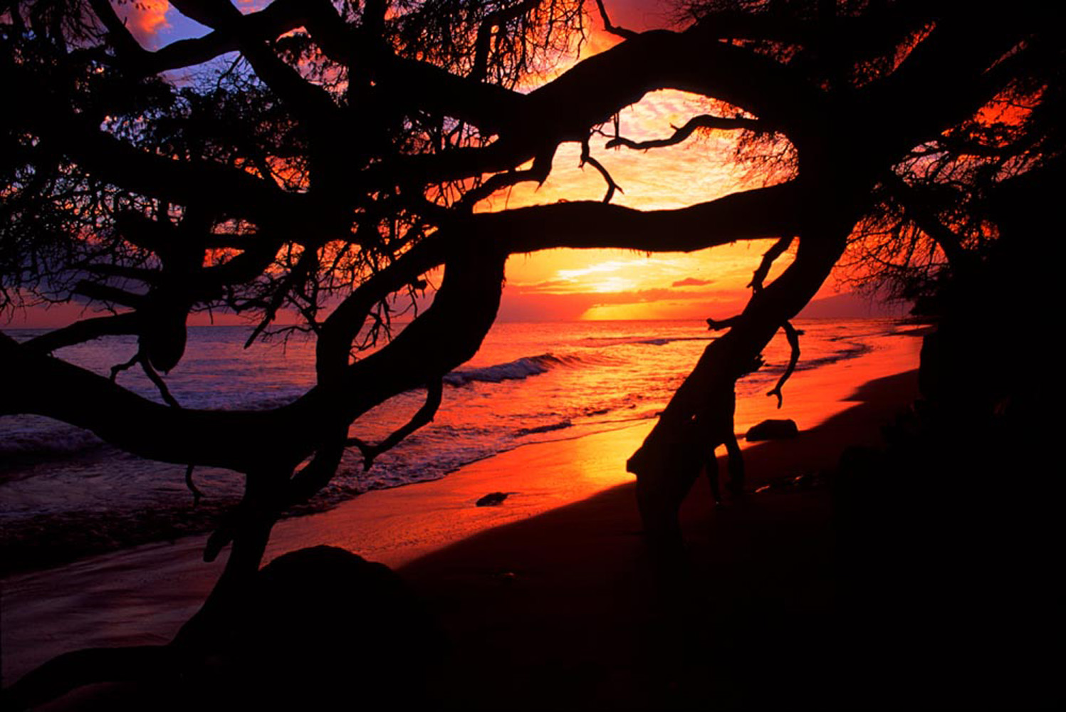 hawaii_sunset-1