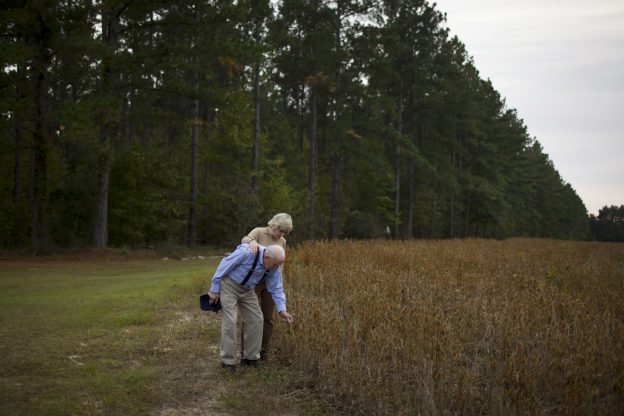 Chris and her father inspect a dried out soy bean patch near the his childhood home, after spending the day with family. Varnville, SC. Nov. 2014