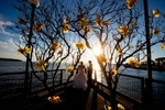 The bride & groom are silhouetted as they watch the beautiful sunset on the Seattle waterfront during their wedding at the Seattle Aquarium. (Wedding Photography by Scott Eklund - Red Box Pictures)