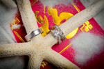 Alina & Patrick's wedding rings sit on a starfish during the reception at the Seattle Aquarium. (Wedding Photography by Scott Eklund - Red Box Pictures)